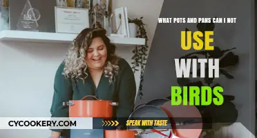 Avoid Toxic Cookware: Keep Your Birds Safe