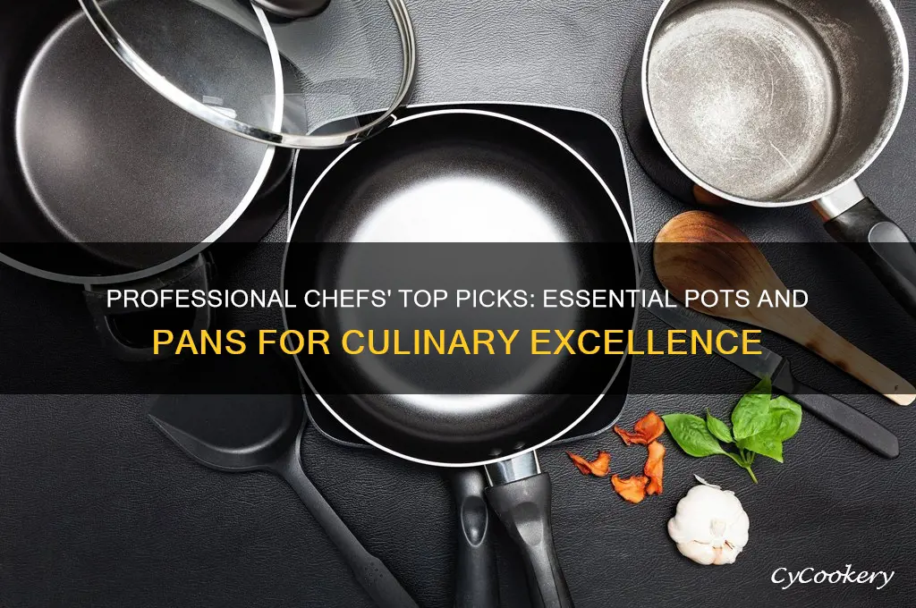 what pots and pans do professional chefs use