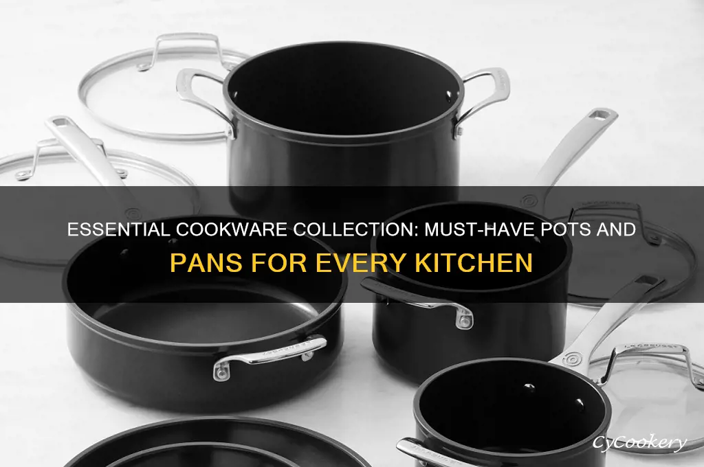 what pots and pans does every cook need