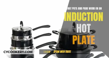 Induction Hot Plate: Which Cookware?