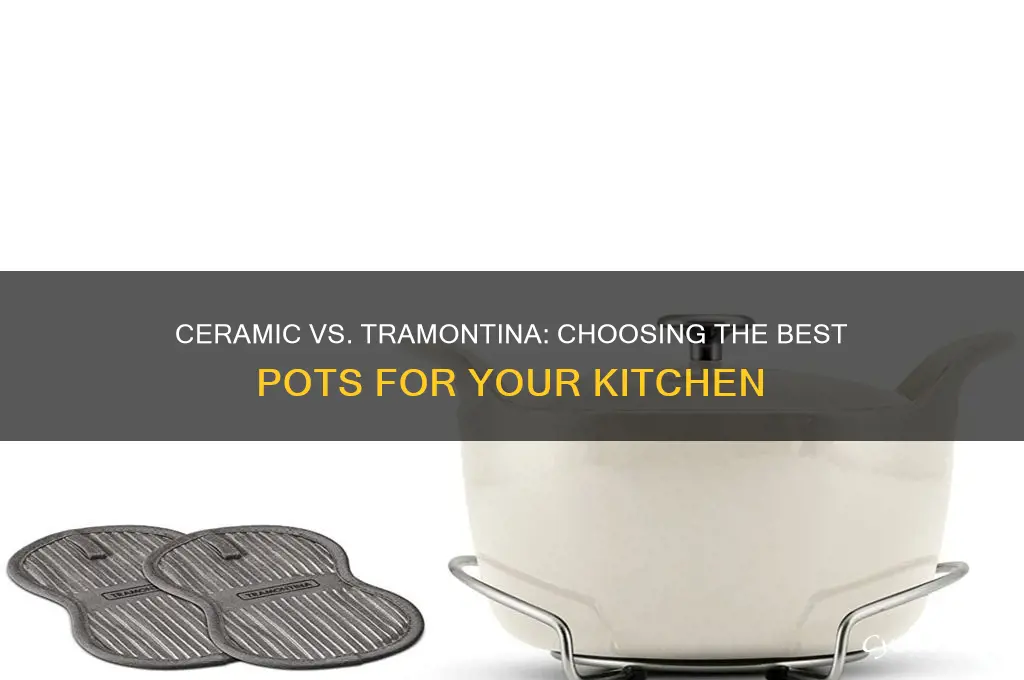 what pots are best to cook with ceramic and tramontina