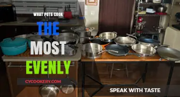 Best Pots for Even Cooking: Top Materials and Designs Compared