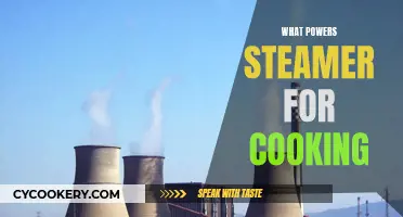 Steam Power: Energy Behind Cooking Perfection