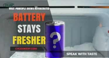 Refrigerated Batteries: The Science Behind Extended Freshness and Performance