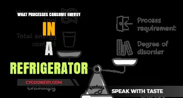 How Refrigerators Work: Energy-Consuming Processes Explained Simply