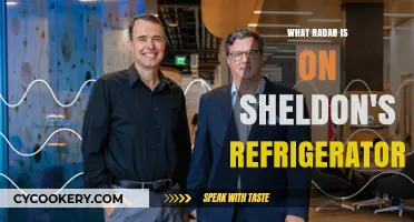 Sheldon's Fridge Radar: Unveiling the Mystery Behind the Appliance