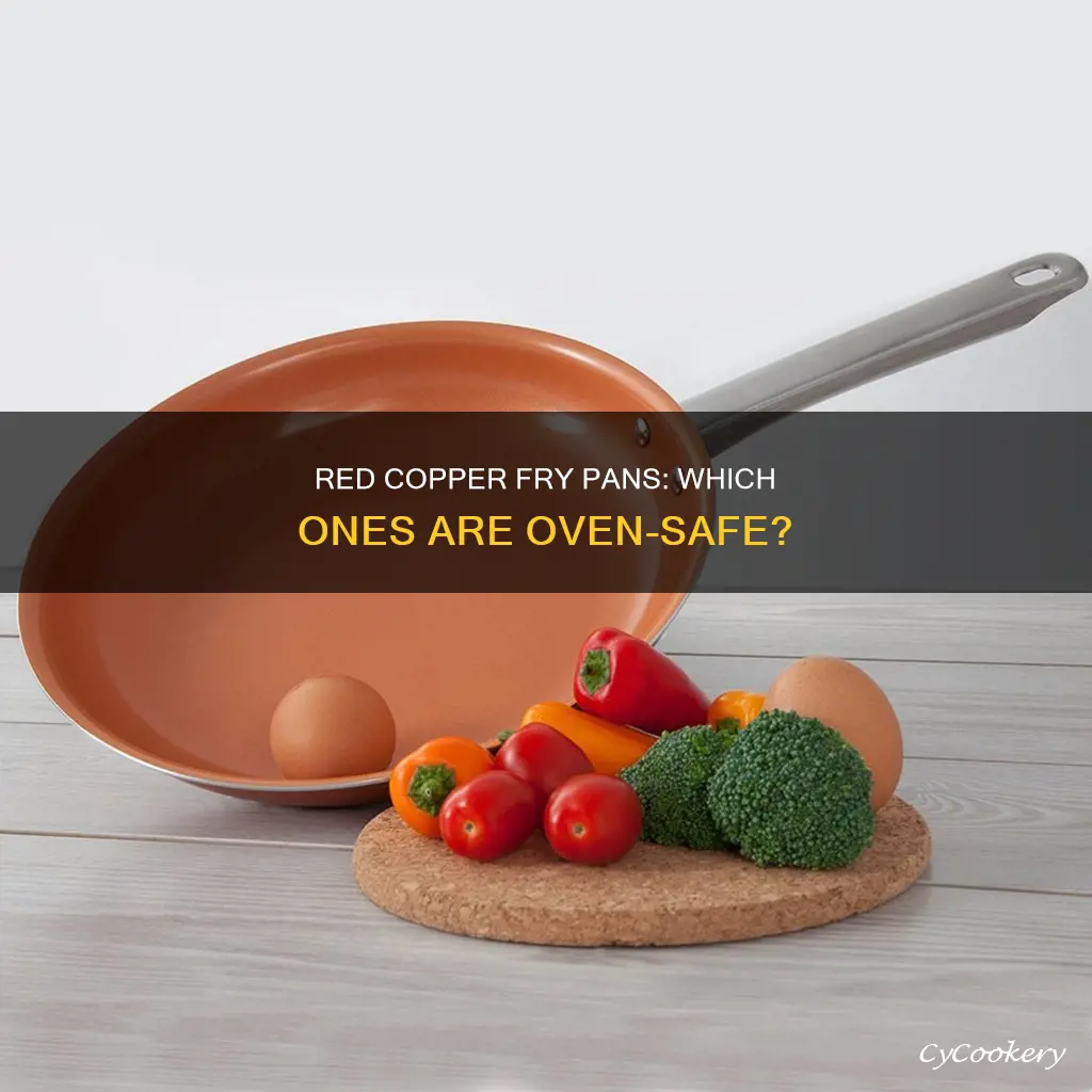 what red copper fry pans can go in the oven