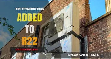 Eco-Friendly Alternatives: What Refrigerant Can Replace R22 Effectively?