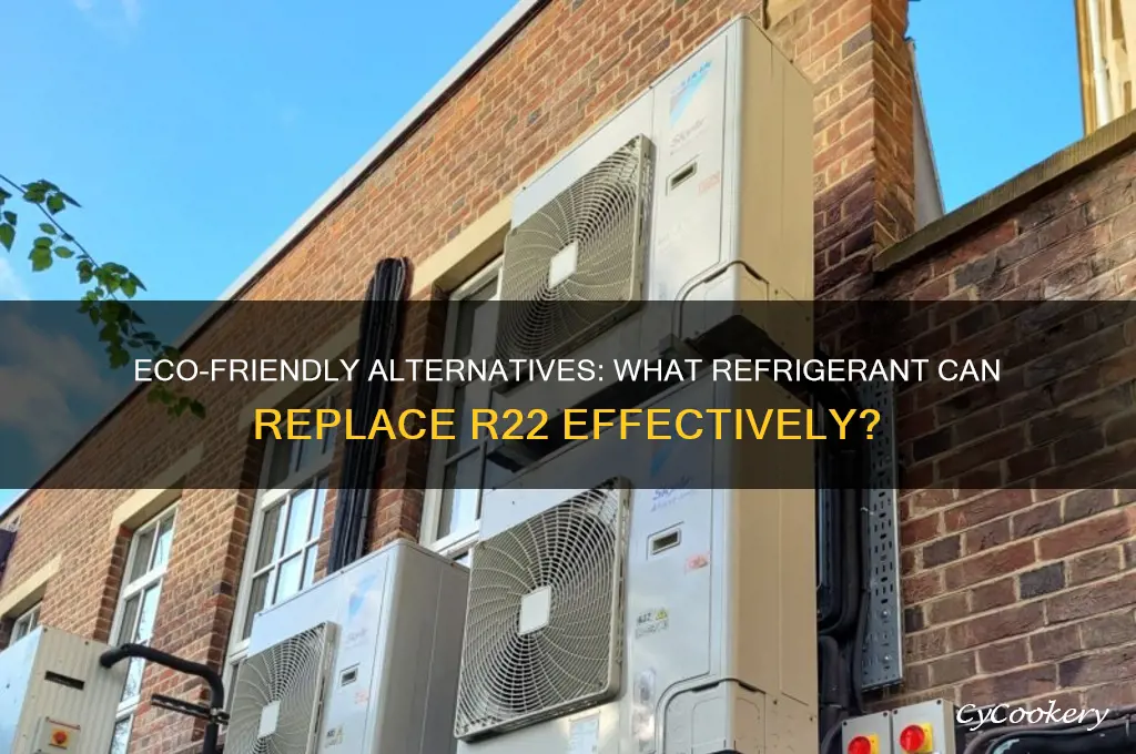 what refrigerant can be added to r22