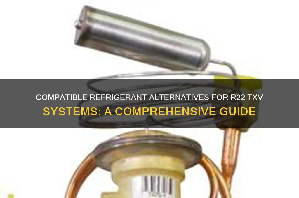 what refrigerant can i use with a r22 txv