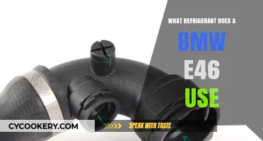 BMW E46 Refrigerant Guide: What Type Does It Use?