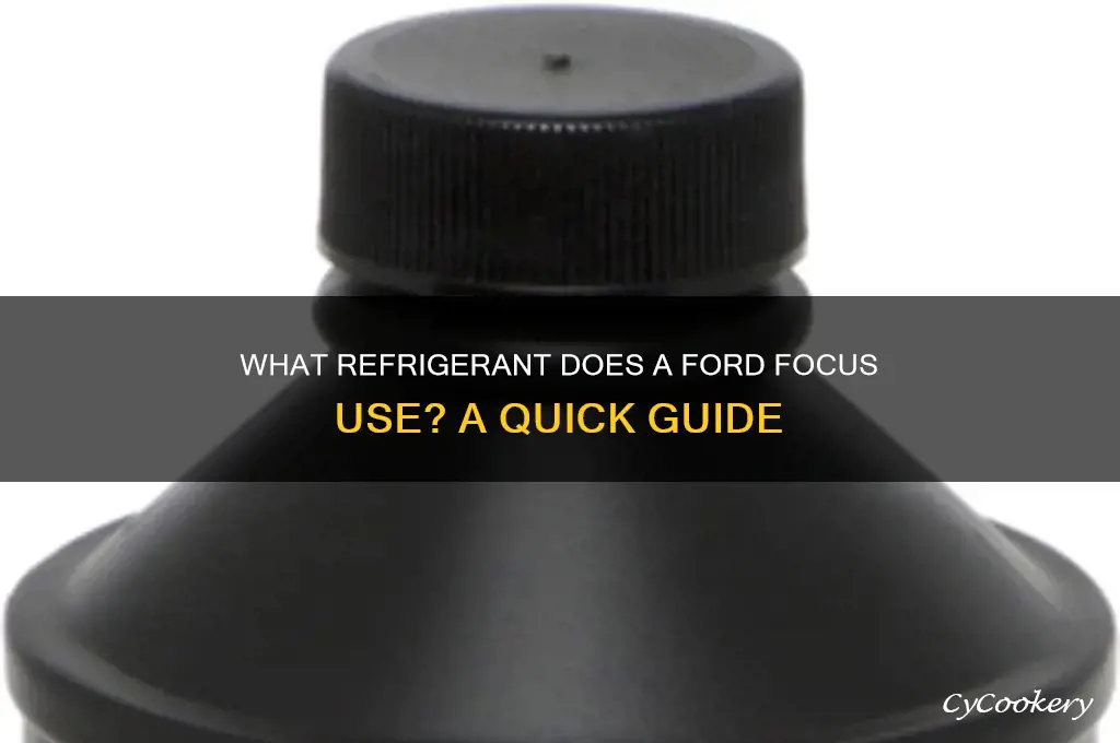 what refrigerant does a ford focus use