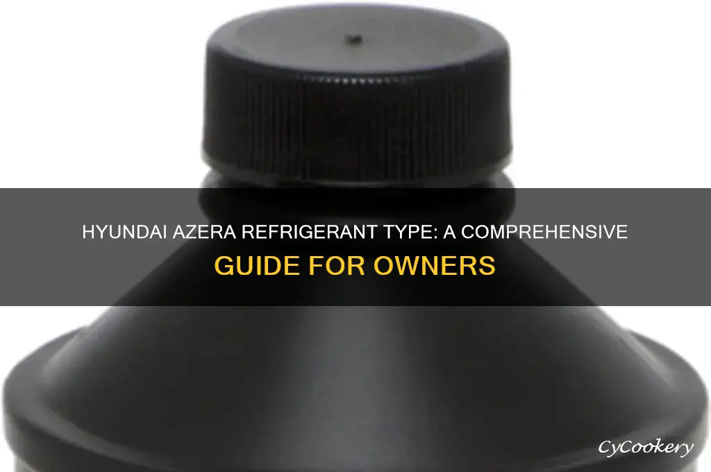 what refrigerant does a hyundai azera take