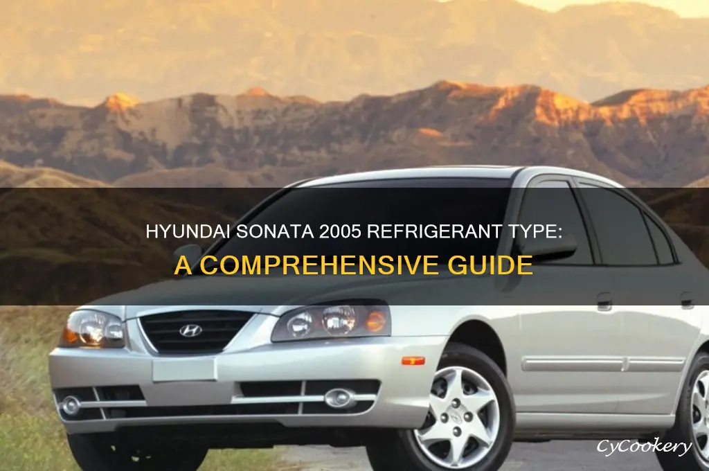 what refrigerant does hyndai sonata 2005 use