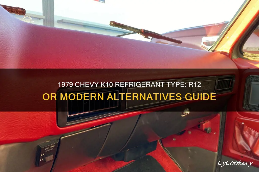 what refrigerant does my 1979 k10 use