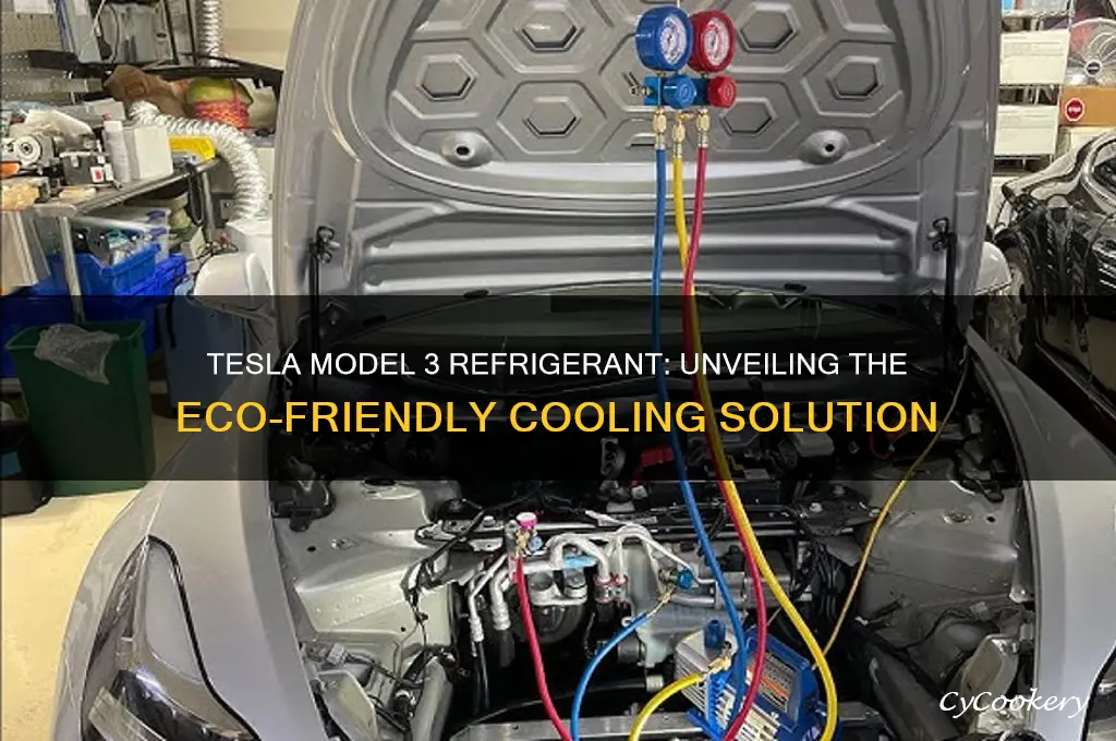 what refrigerant does tesla model 3 use