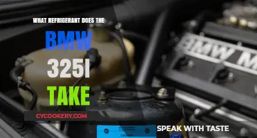 BMW 325i Refrigerant Type: A Comprehensive Guide to AC Maintenance