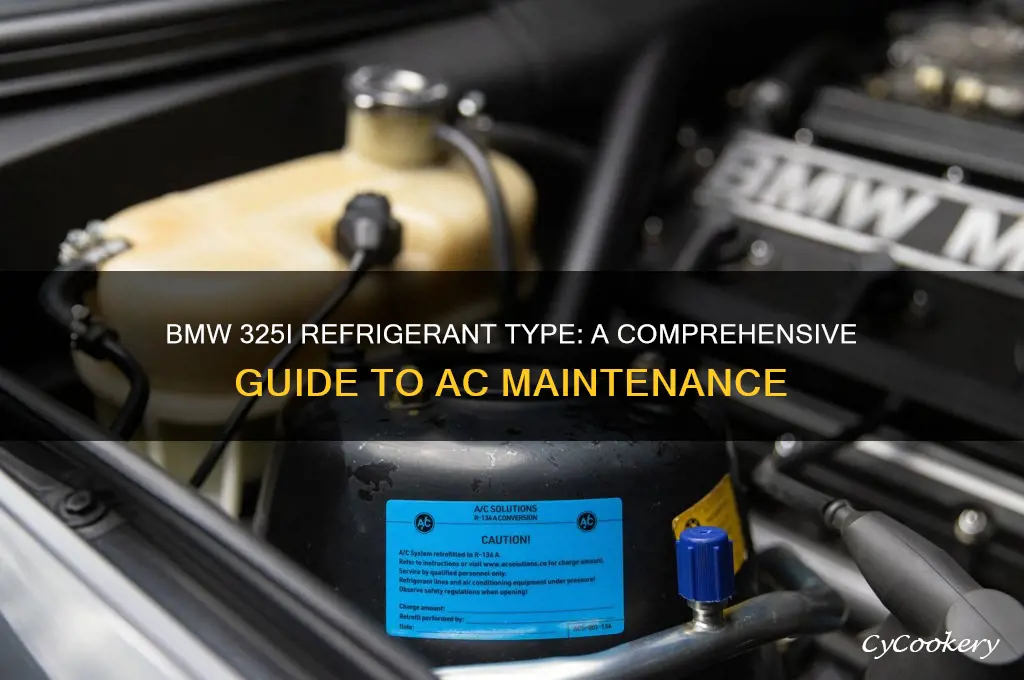 what refrigerant does the bmw 325i take
