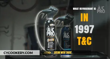 1997 Chrysler T&C Refrigerant Type: R-134a or R-12?