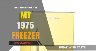 Identifying the Refrigerant in Your Vintage 1975 Freezer Model