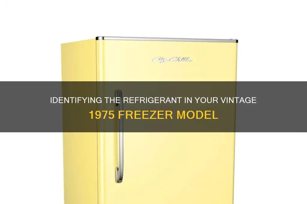 what refrigerant is in my 1975 freezer
