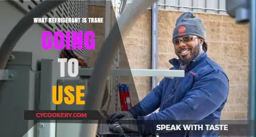 Trane's Future Refrigerant Choice: Exploring Eco-Friendly Cooling Solutions