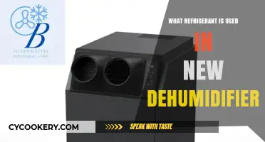 Eco-Friendly Refrigerants in Modern Dehumidifiers: What’s Used Today?