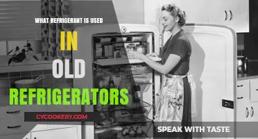 Exploring the Common Refrigerants Used in Vintage Refrigerators