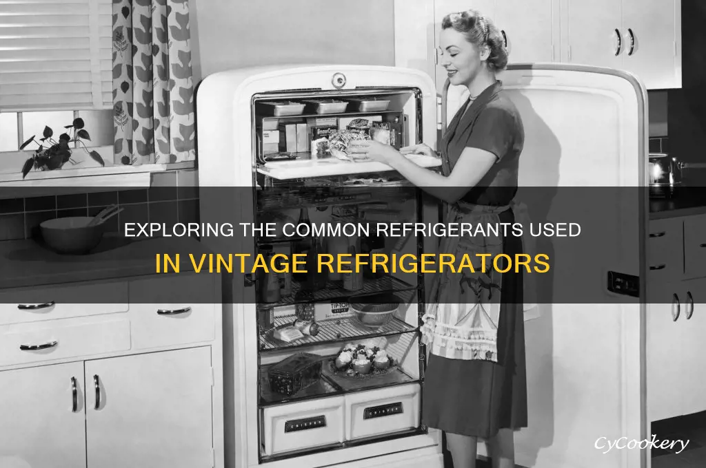 what refrigerant is used in old refrigerators