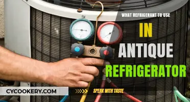 Choosing the Right Refrigerant for Your Vintage Fridge Restoration