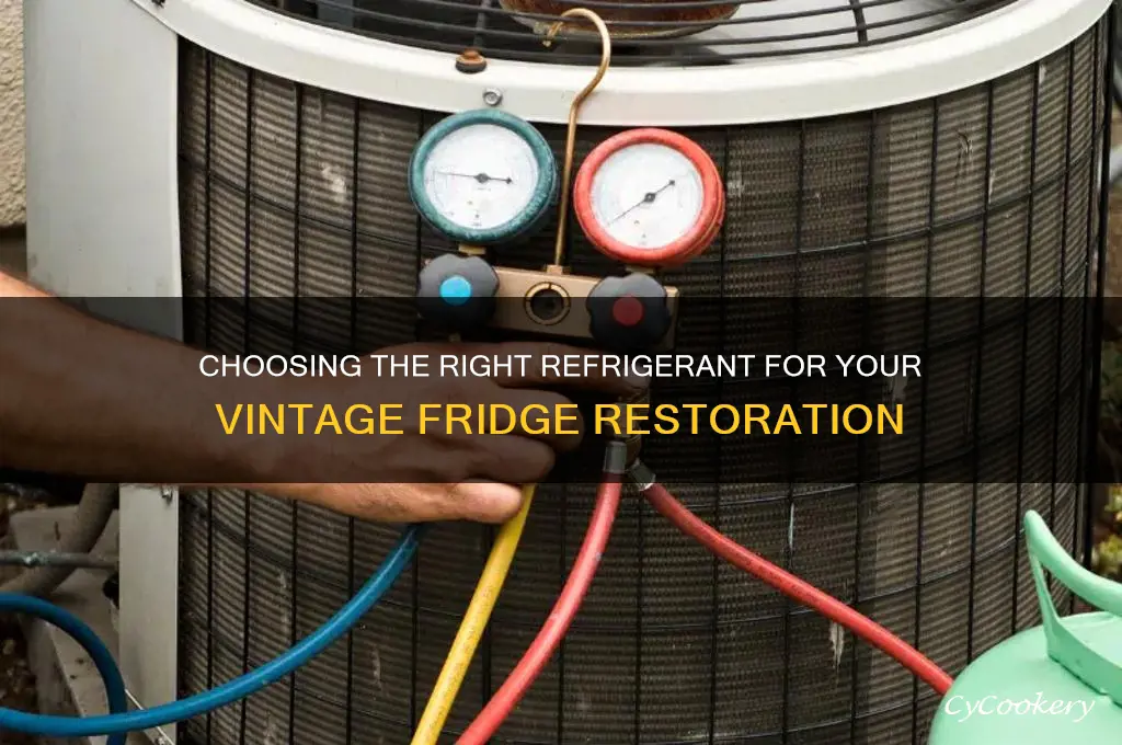 what refrigerant to use in antique refrigerator
