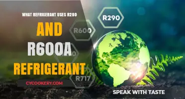 Exploring Eco-Friendly Refrigerants: R290 and R600a Applications and Benefits