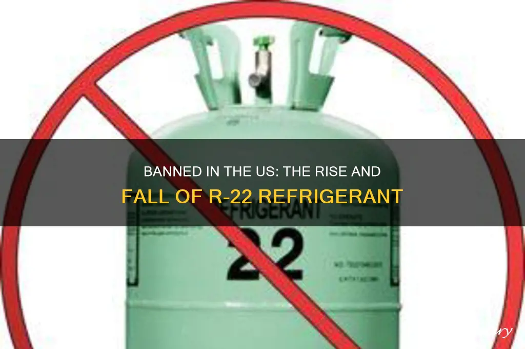 what refrigerant was banned in the us
