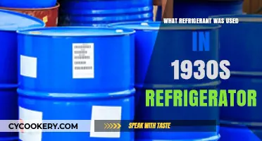 1930s Refrigerators: The Surprising Refrigerant Used in Early Cooling Systems