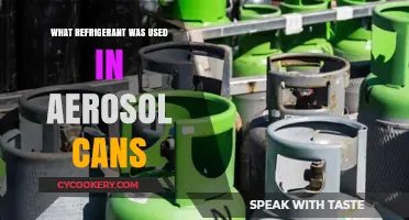 Exploring the Refrigerant Used in Vintage Aerosol Cans: A Historical Overview