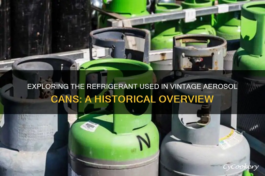 what refrigerant was used in aerosol cans