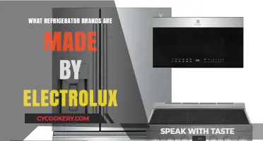 Discovering Electrolux: Top Refrigerator Brands Under Their Umbrella