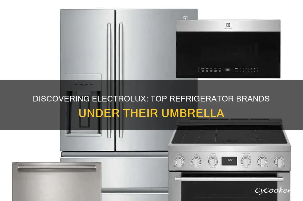 what refrigerator brands are made by electrolux