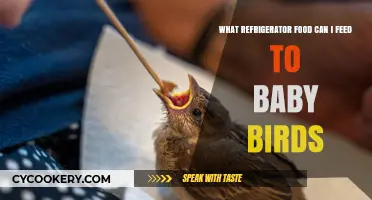 Safe Refrigerator Foods to Feed Baby Birds: A Quick Guide
