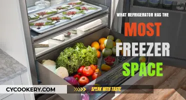 Maximize Your Frozen Storage: Top Refrigerators with Largest Freezer Space
