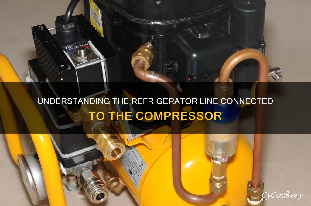 what refrigerator line comes out the conpressor