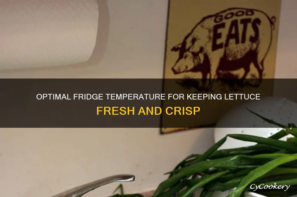 what refrigerator temperature is best for lettuce