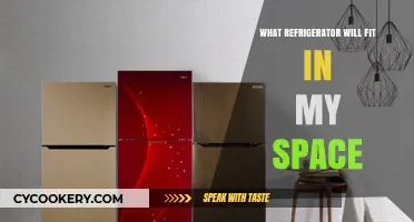 Choosing the Perfect Fridge: Size, Style, and Space Solutions