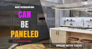 Customizable Refrigerators: Which Models Can Be Paneled for Seamless Design?