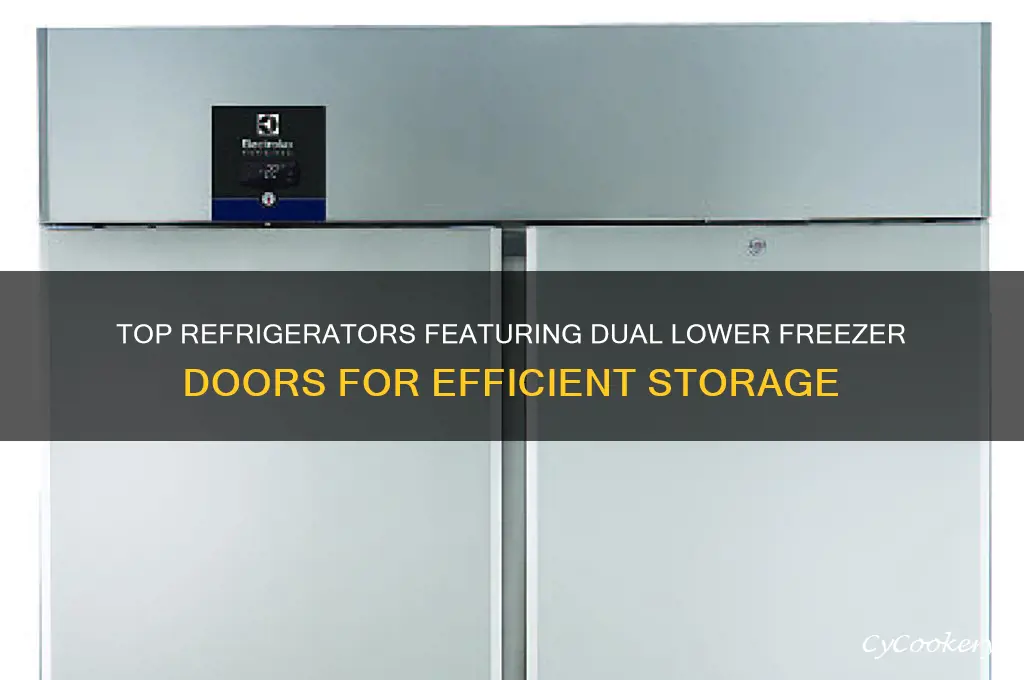 what refrigerators have 2 lower freezer doors