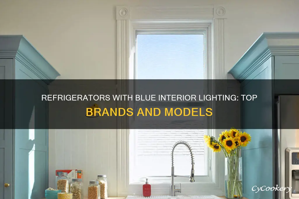 what refrigerators have the blue interior lighting