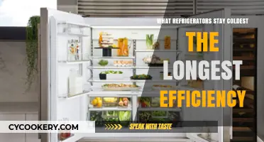 Top Energy-Efficient Refrigerators That Maintain Optimal Cold Temperatures Longest