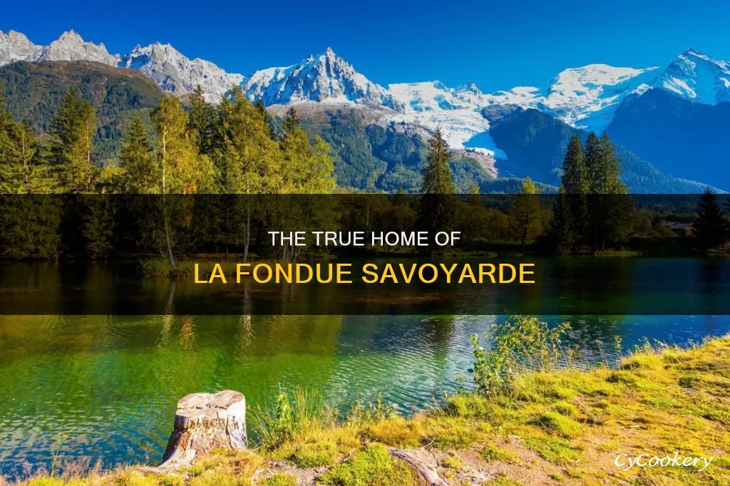 what region of france is la fondue savoyarde from