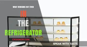 Chill-Proof Heat: Exploring What Stays Hot in the Fridge