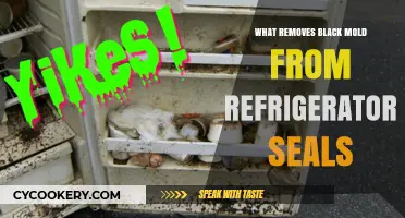 Effective Ways to Remove Black Mold from Refrigerator Seals